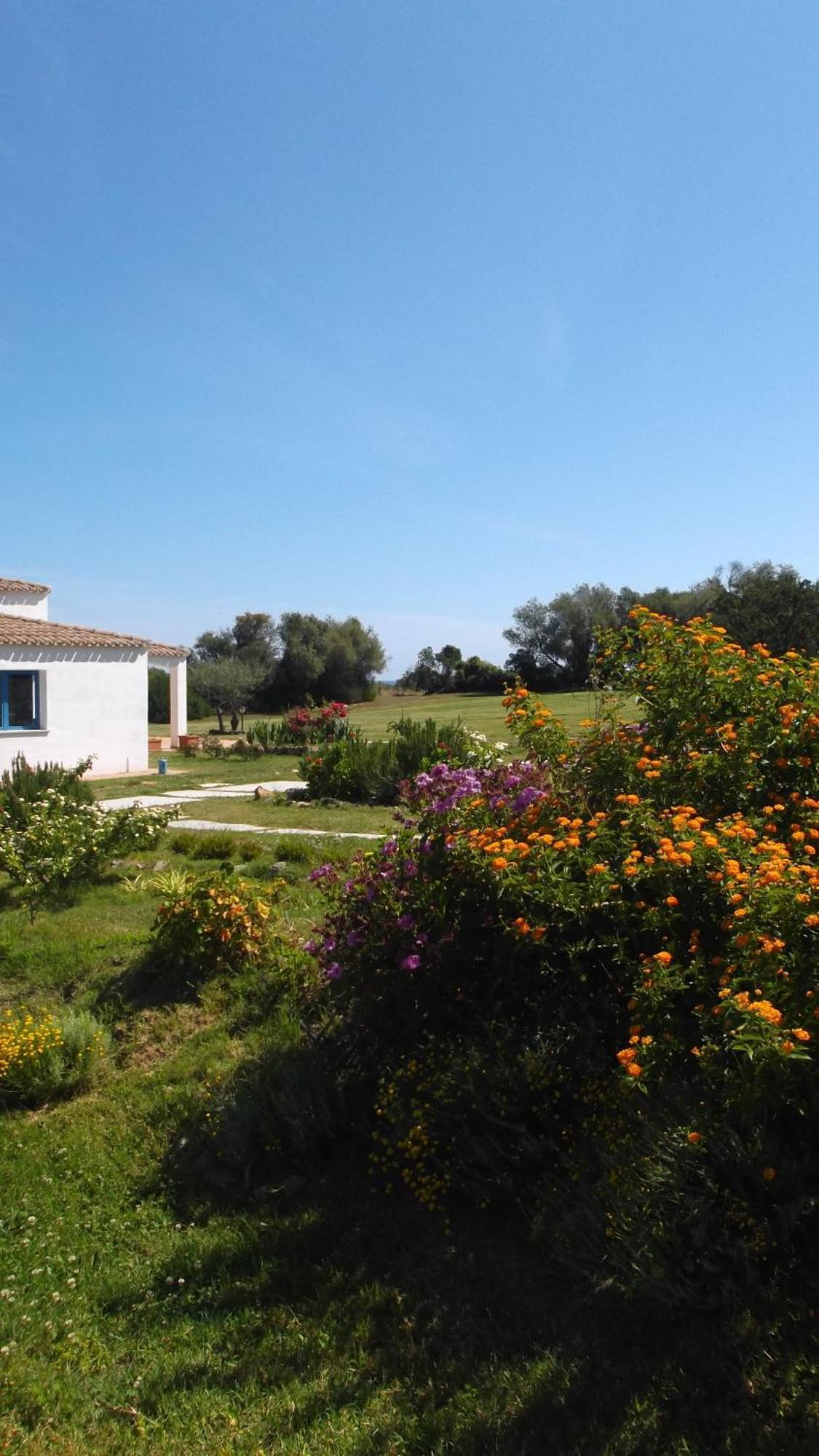 Hotel Baia Cea Bari Sardo Bagian luar foto