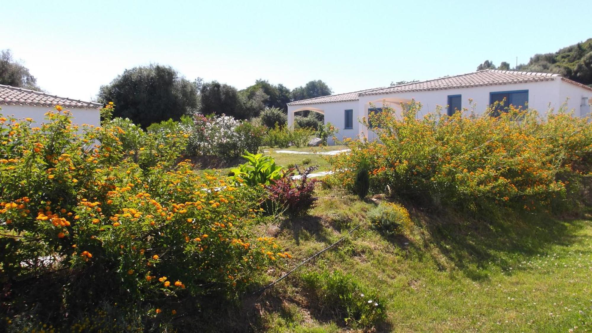 Hotel Baia Cea Bari Sardo Bagian luar foto