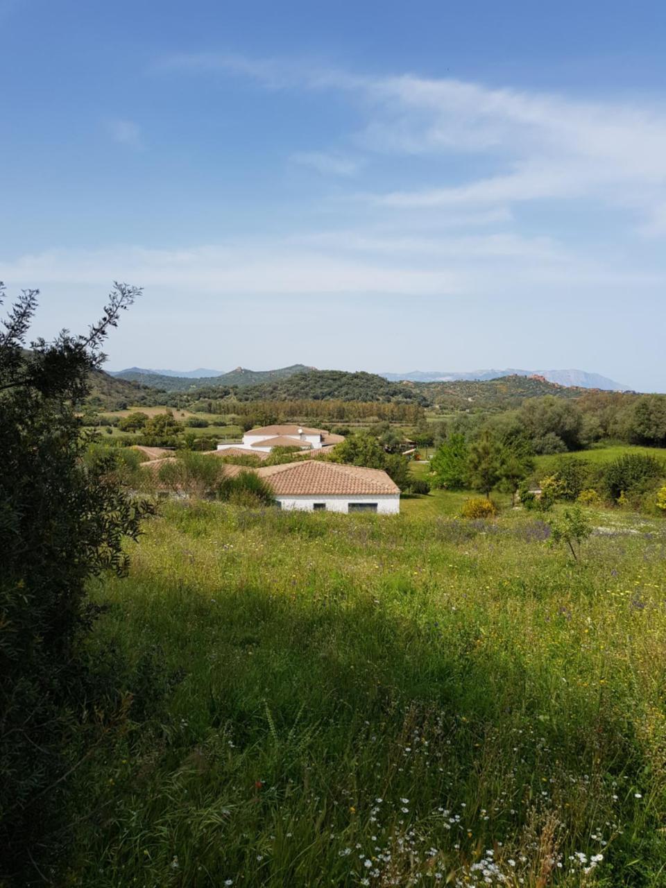 Hotel Baia Cea Bari Sardo Bagian luar foto